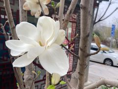 -冰城串吧(中上园店)