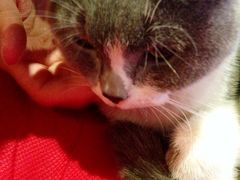 iphone_upload_pic-MIKAKU(万达广场上海宝山店)