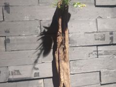 -呷哺呷哺 黄金牧场 (大港油田幸福广场店)