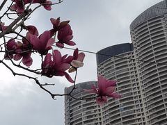 -洲头咀公园