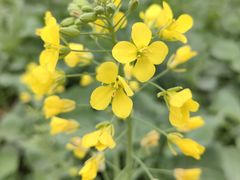 -中国天府农业博览园