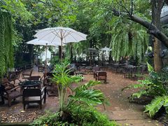 -Fern Forest Cafe