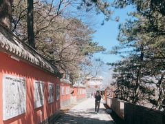 -妙峰山风景名胜区
