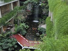 -白天鹅宾馆-宏图府餐厅