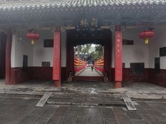 -关林