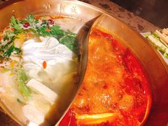 -小龙坎老火锅(鹤伴一路店)