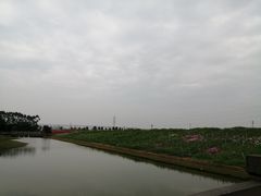 -迪茵湖田家舍生态农场