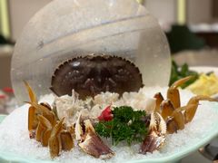 -帝皇海海鲜豆捞(桐泾商务广场店)