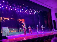 -南风大剧院莎梦二人转剧场