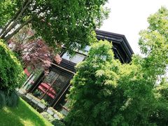 -荷风细雨·中国茶宴(碧云店)