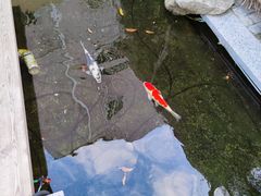 -湖南别院·美学庭院餐厅(惠阳店)