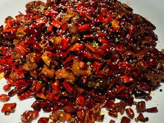 -鸽舞笙平金牌烧鸽子·融合菜(鲁谷店)