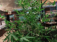 -渔语鱼新川菜Bistro(万象天地店)