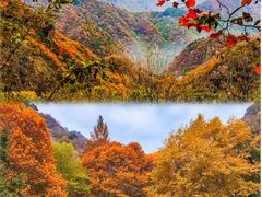 -秦岭终南山世界地质公园翠华山景区