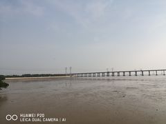 -宝安西湾红树林湿地公园