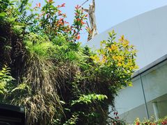 -金泽21世纪美术馆