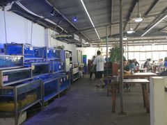 -八仔大富楼·河鲜(西江店)