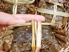 -水岸居湖景农家乐·阳澄湖大闸蟹