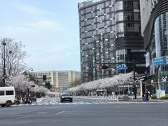 -新天地活力PARK