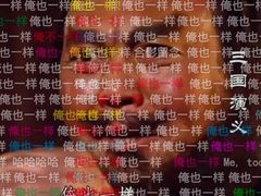 -老妈宫粽球