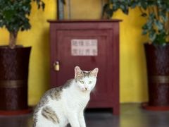 -中国观音故里广德景区