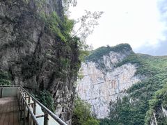 -百色大石围天坑群