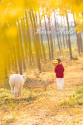 -DORA kids 朵拉儿童摄影花园店