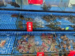 -红月湾海鲜饭店•沙滩海景(双月湾店)