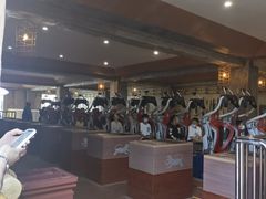 -七彩云南欢乐世界