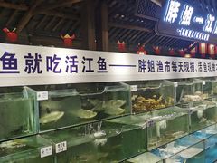 水产区-胖姐渔村(中源大道店)