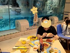 -帝企鹅自助餐厅•儿童岛•真企鹅(长隆企鹅酒店)