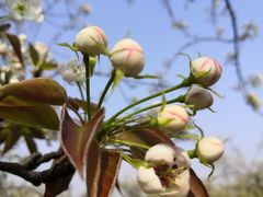 -江苏三台山国家森林公园