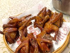 -百利鸽王(紫薇路店)