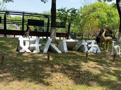 -昆山城市生态森林公园