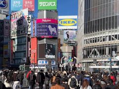 -涩谷全向十字路口
