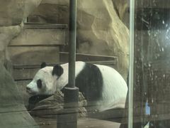 -成都动物园