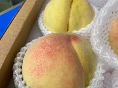 -老袁家蜜桃农场·阳山水蜜桃