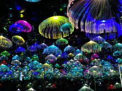 -武汉5D星空错觉艺术馆(中心百货店)