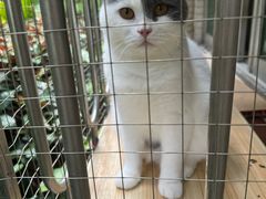 -Peet's Coffee皮爷咖啡(华强北茂业店)