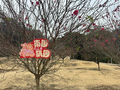 -南国桃园旅游度假区