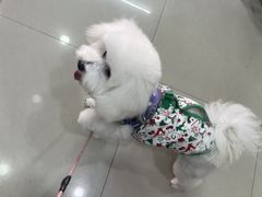 -酷狗靓猫宠物·洗护·美容·寄养(航北路店)