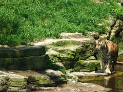 -大连森林动物园