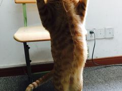 -都谷包子(天一广场店)