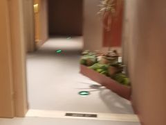 -LANN I 蘭·泰式古法按摩(长宁来福士东八区店)