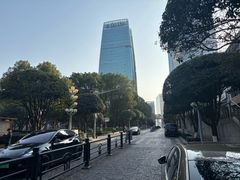 -重庆市江北嘴中央商务区中央公园