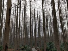 -上海怡沁园度假酒店