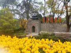 -南山植物园