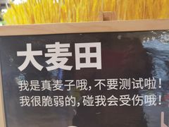 -武汉光谷K11
