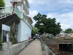 -南丫岛