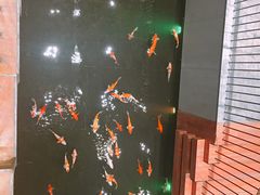 -顺丰国宴(工业博物馆店)